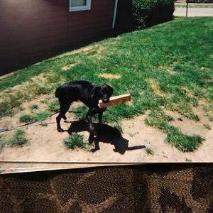 Meet your Posher, Dave